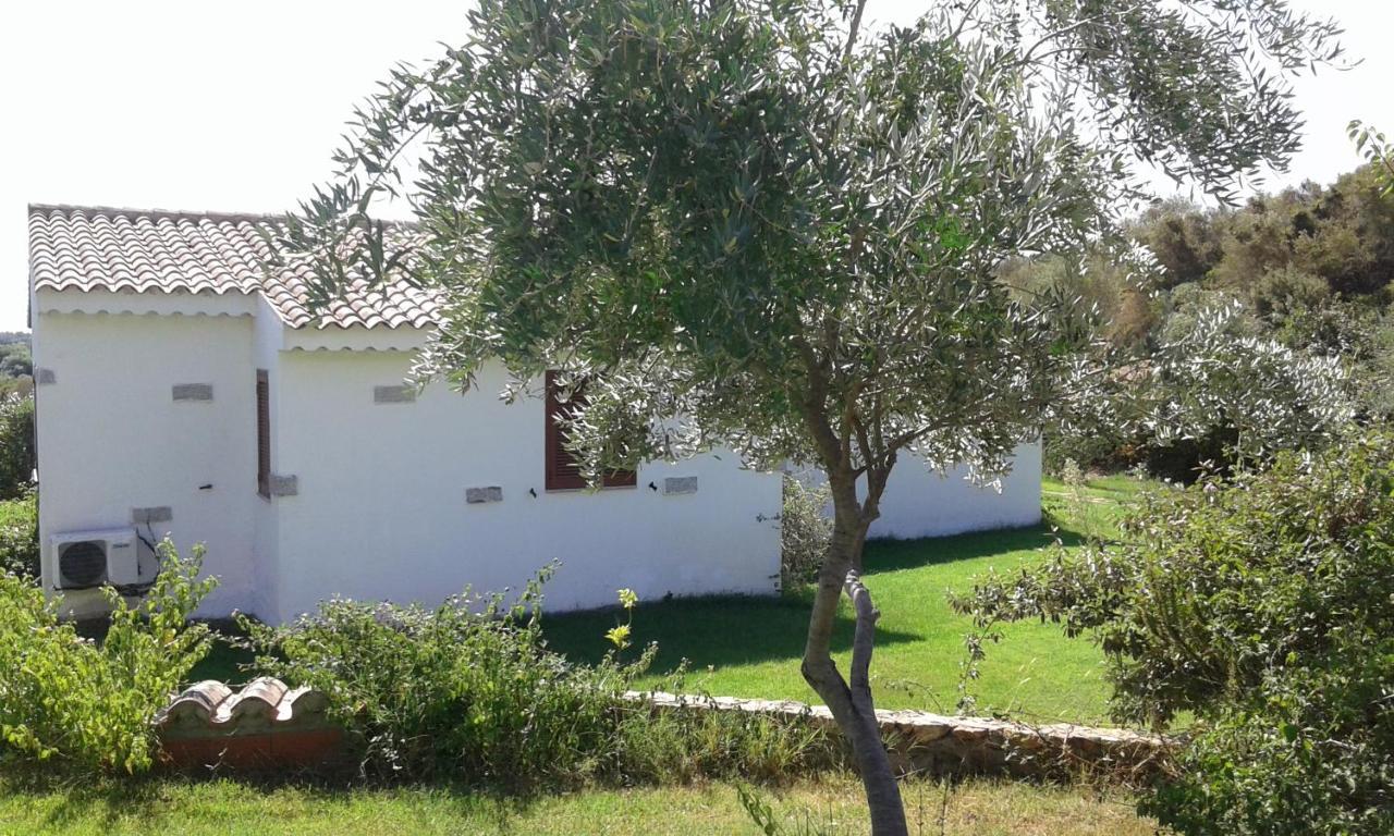 Hotel Lu Baroni Budoni Dış mekan fotoğraf